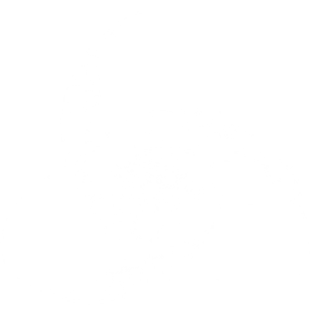 Rankaglia logo